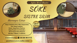 SÖKE SİSTRE SİLİM USTASI