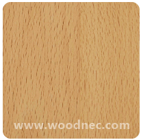 Kayın Natürel Lamine Parke | Şerifoğlu Toptan Parke Satışı ve Montajı – Antalya